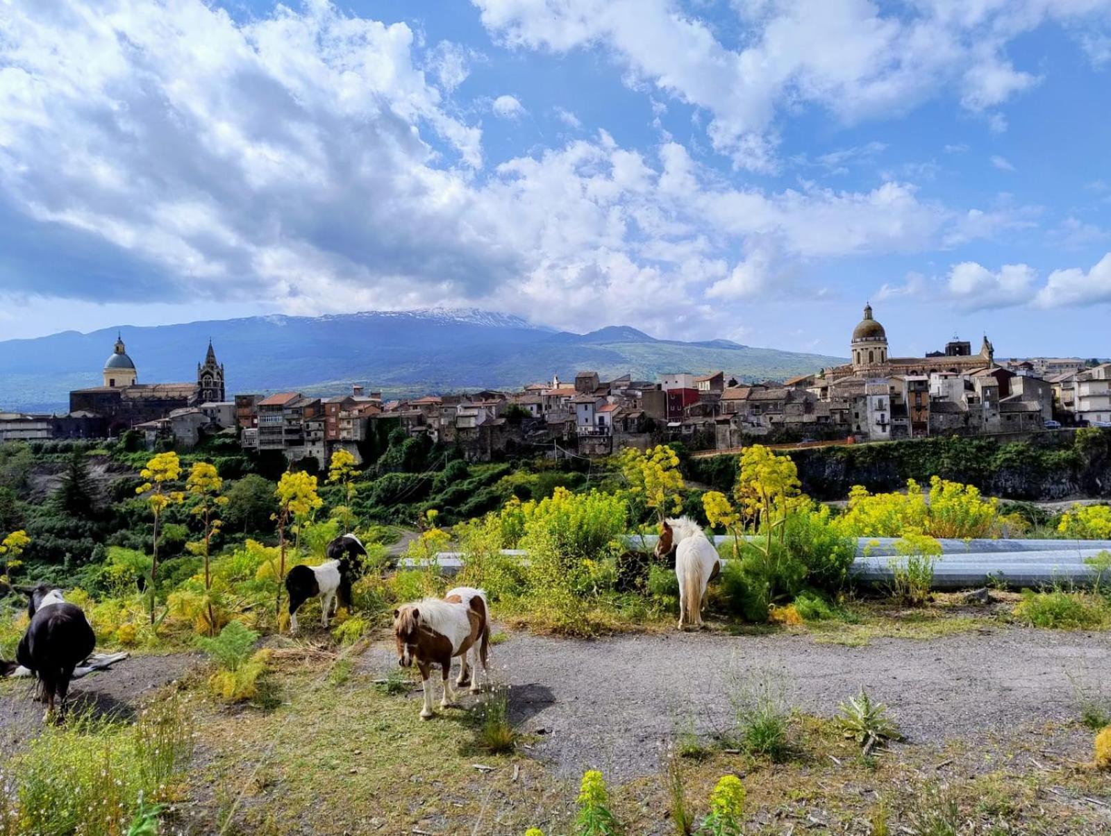 Poggio Roseto Villa Randazzo Ngoại thất bức ảnh